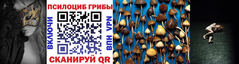 гидра ссылка  Уссурийск  Псилоцибиновые грибы MAGIC MUSHROOMS  сколько стоит 